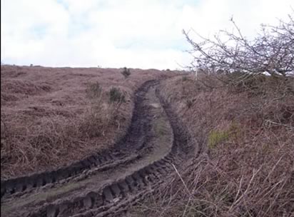 damage on trevarth common